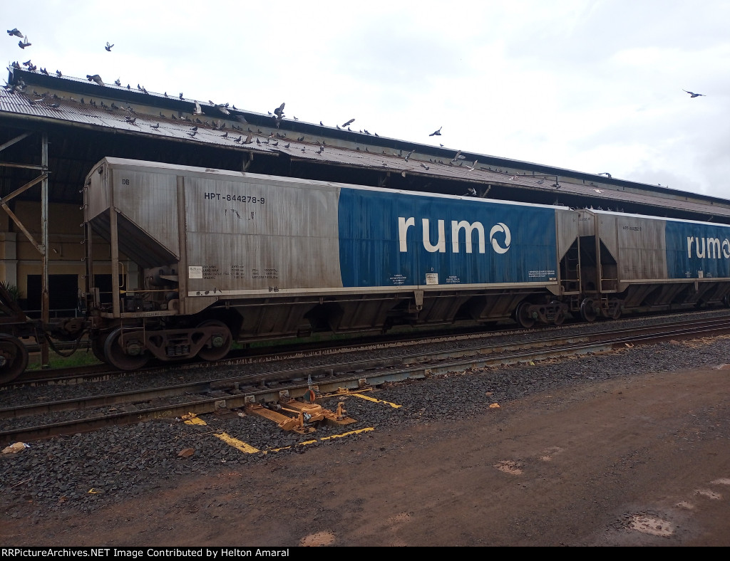 RUMO HPT-844278-9