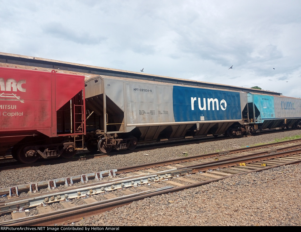 RUMO HPT-031834-5