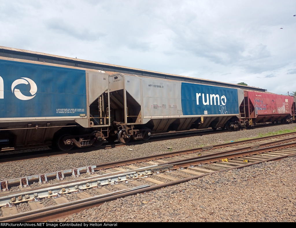 RUMO HPT-031866-3