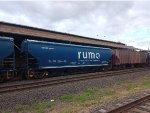 RUMO HTT-351652-1