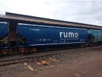RUMO HTT-351836-1