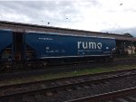 RUMO HTT-350681-9