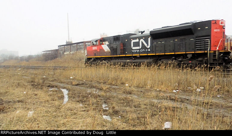 CN 8815