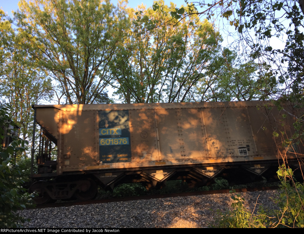 CITX 601876