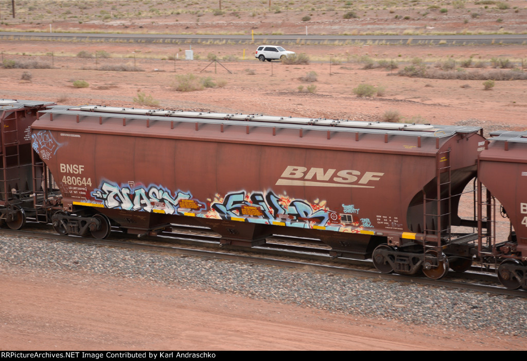 BNSF 480644
