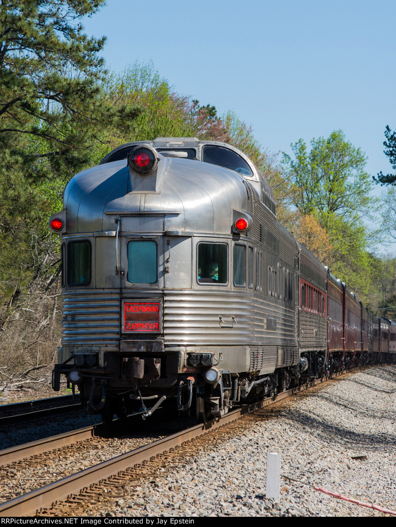 Portrait shot of Silver Solarium