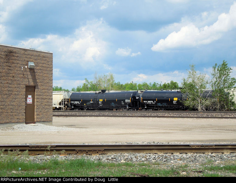 TCLX 290176