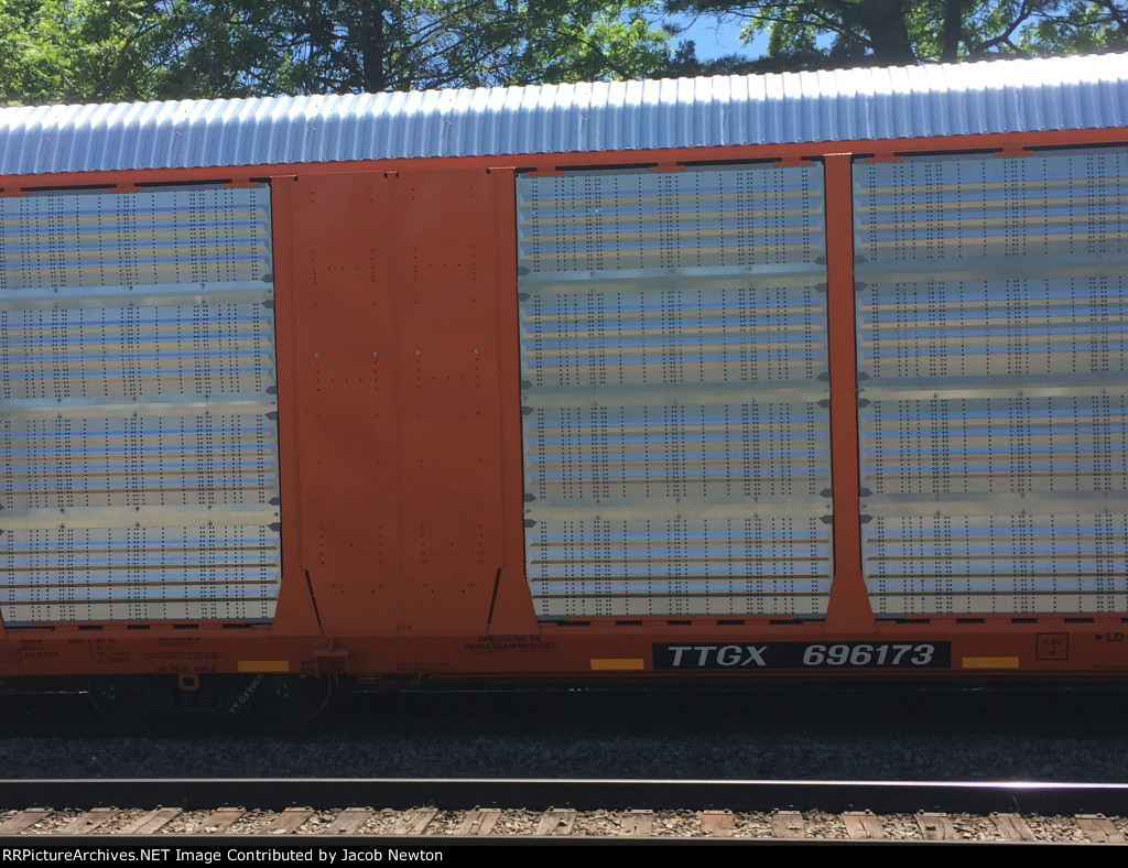 TTGX 696173