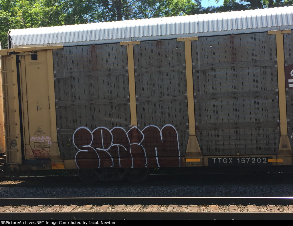 TTGX 157202