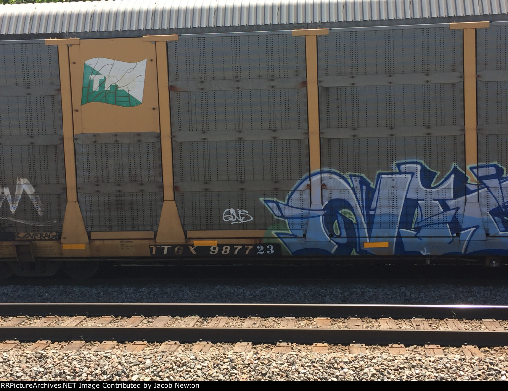 TTGX 987723