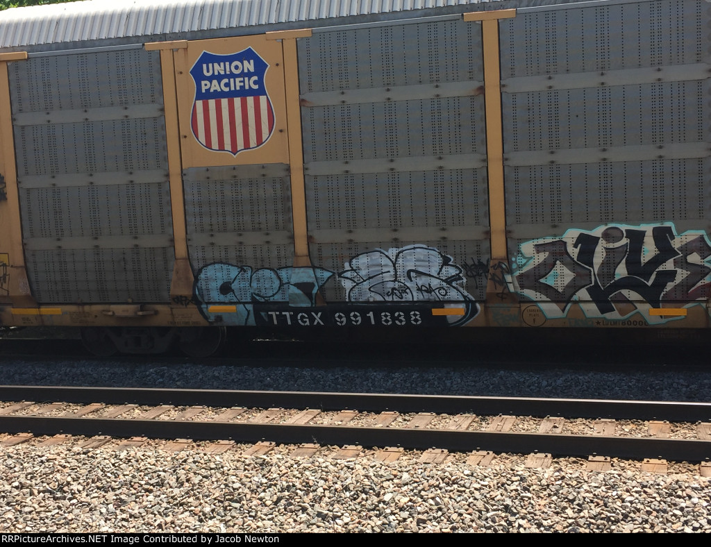 TTGX 991838