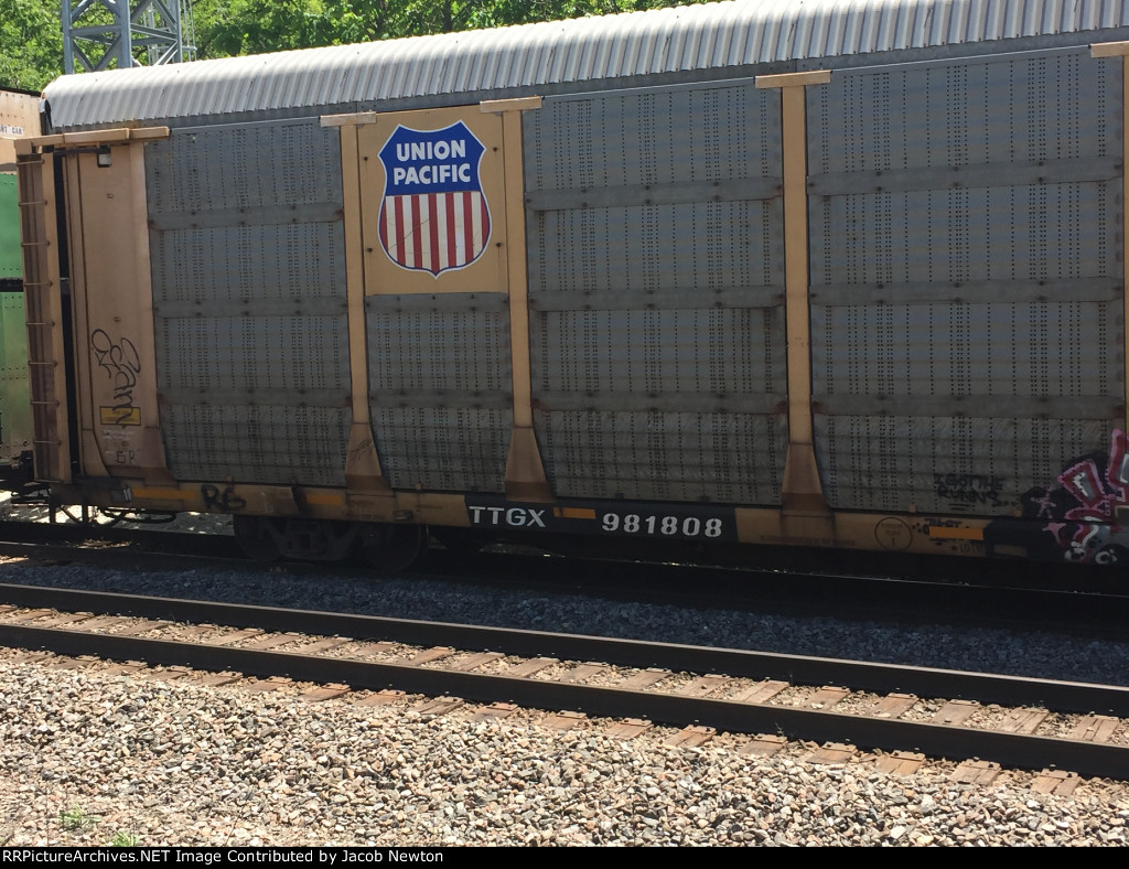 TTGX 981808