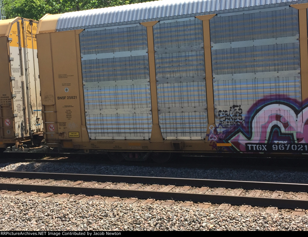 TTGX 967021