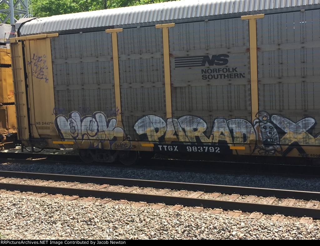 TTGX 983792