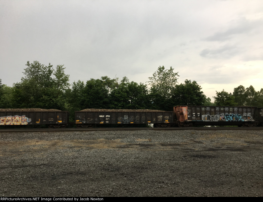 AMGX 2743, BRRX 2037