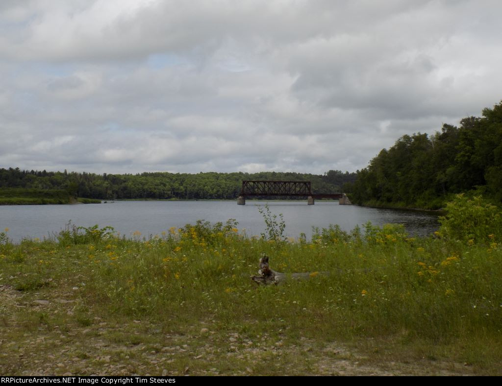 Saint John River Bridge