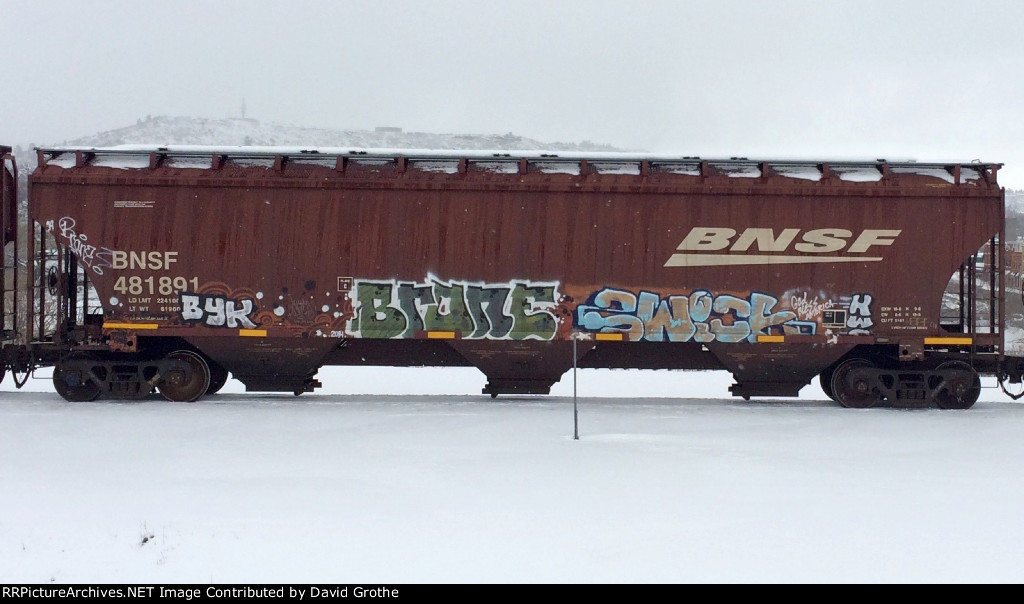 BNSF 481891