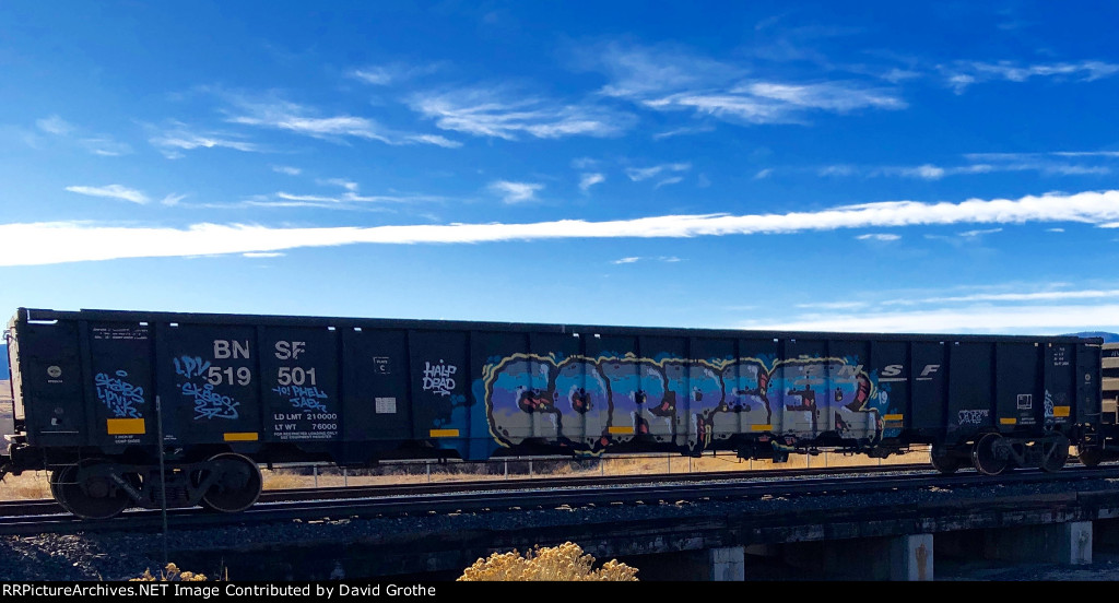 BNSF 519501