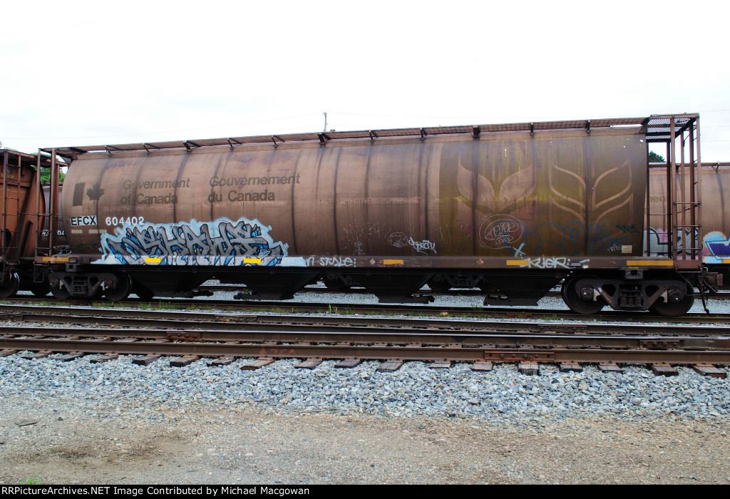 EFCX 604402 4550 cu ft Grain Hopper