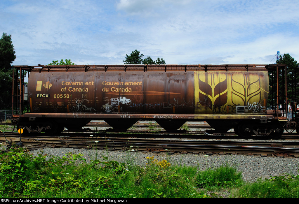 EFCX 605581 4550 cu ft Grain Hopper