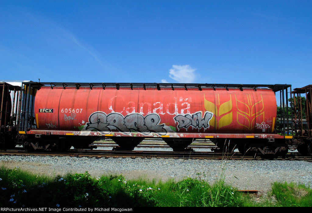 EFCX 605607 4550 cu ft Grain Hopper