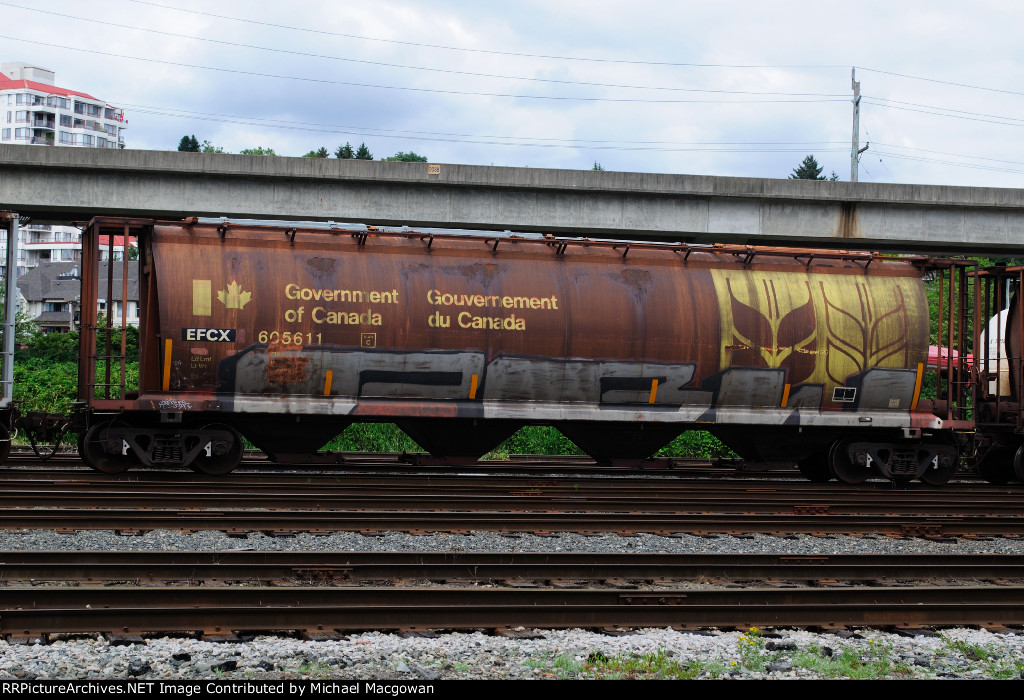 EFCX 605611 4550 cu ft Grain Hopper