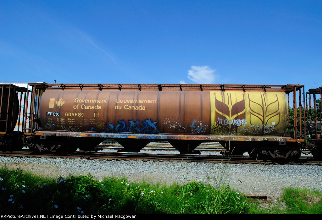 EFCX 605689 4550 cu ft Grain Hopper