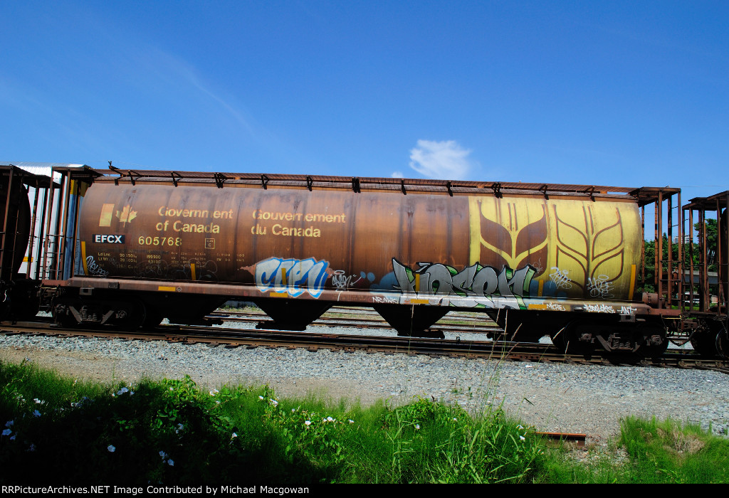 EFCX 605768 4550 cu ft Grain Hopper