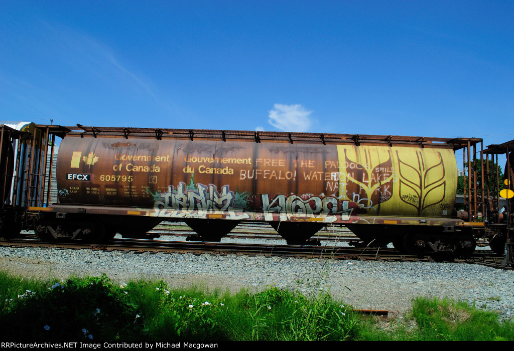 EFCX 605795 4550 cu ft Grain Hopper