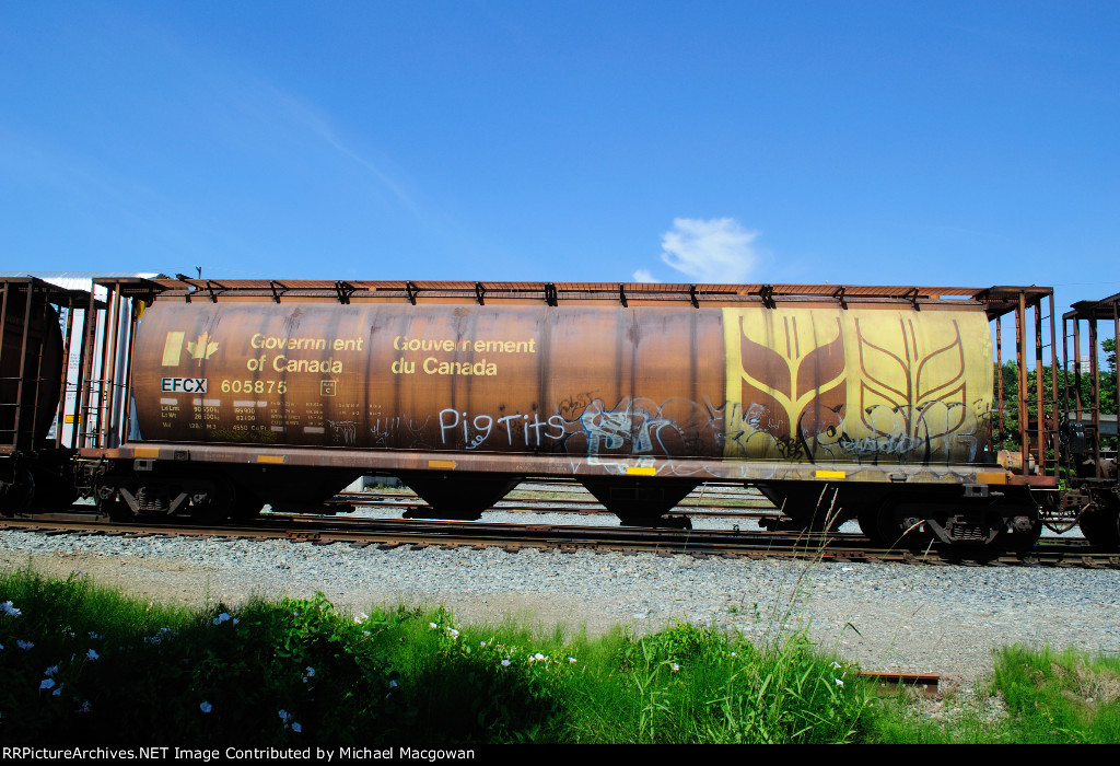 EFCX 605875 4550 cu ft Grain Hopper