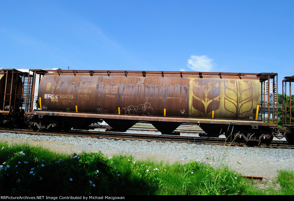 EFCX 606034 4550 cu ft Grain Hopper