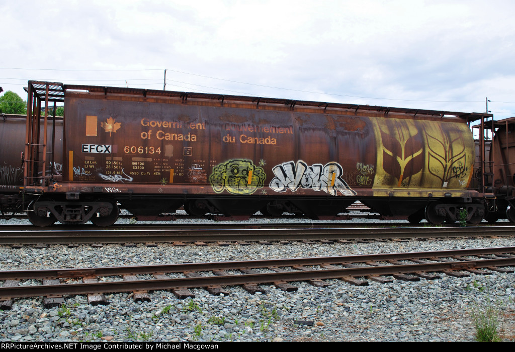 EFCX 606134 4550 cu ft Grain Hopper