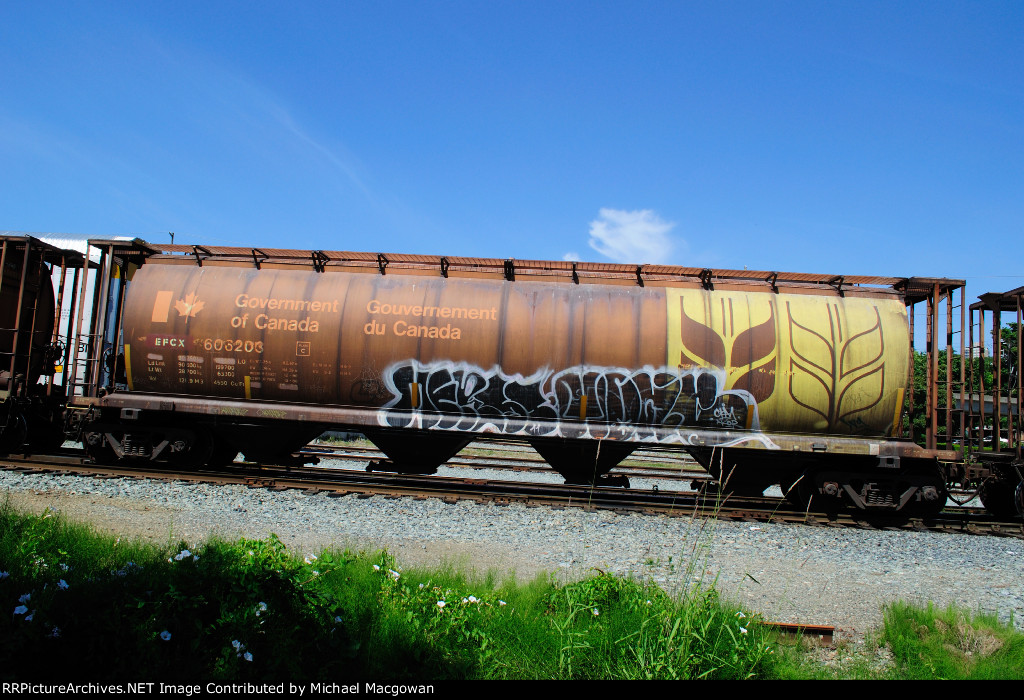 EFCX 606203 4550 cu ft Grain Hopper