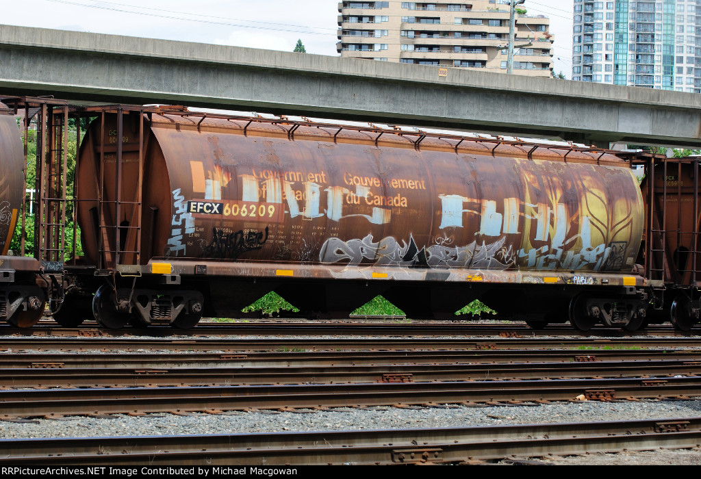 EFCX 606209 4550 cu ft Grain Hopper