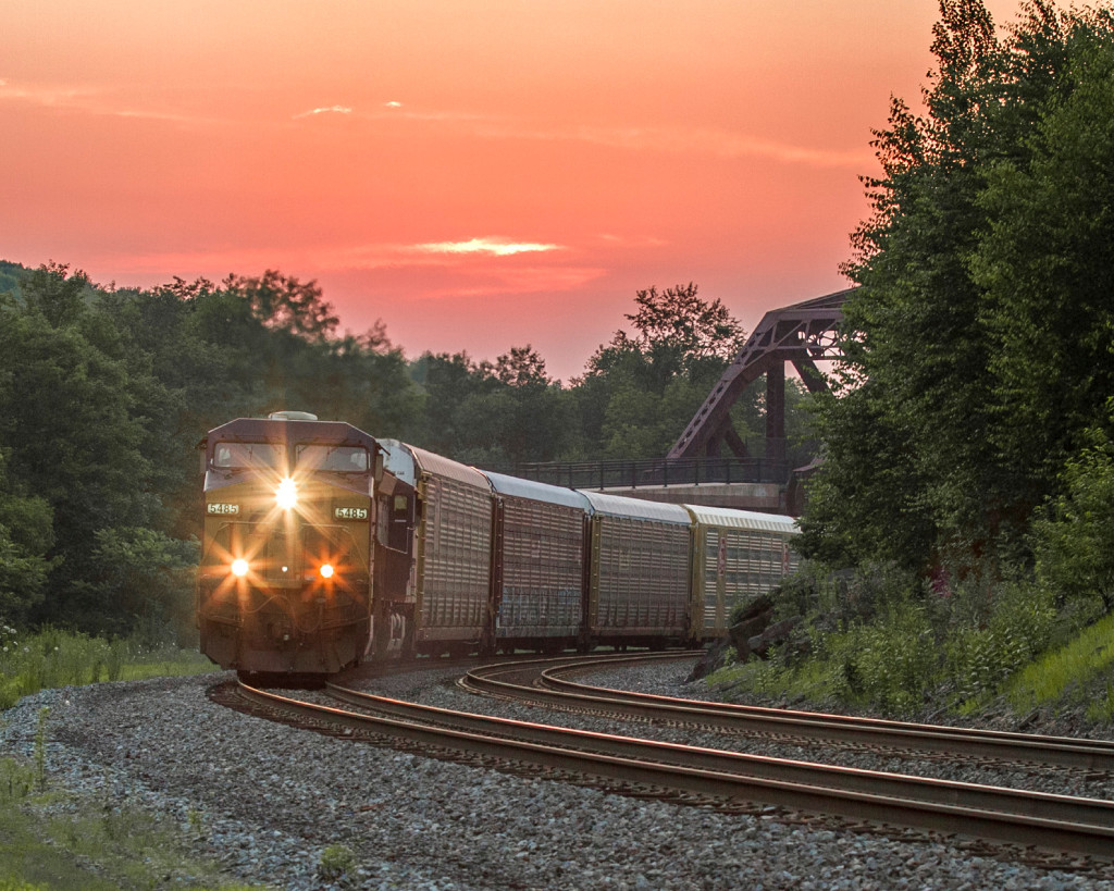 Evening on the Patch