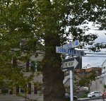 Follow The One Way Arrow To The Station. .