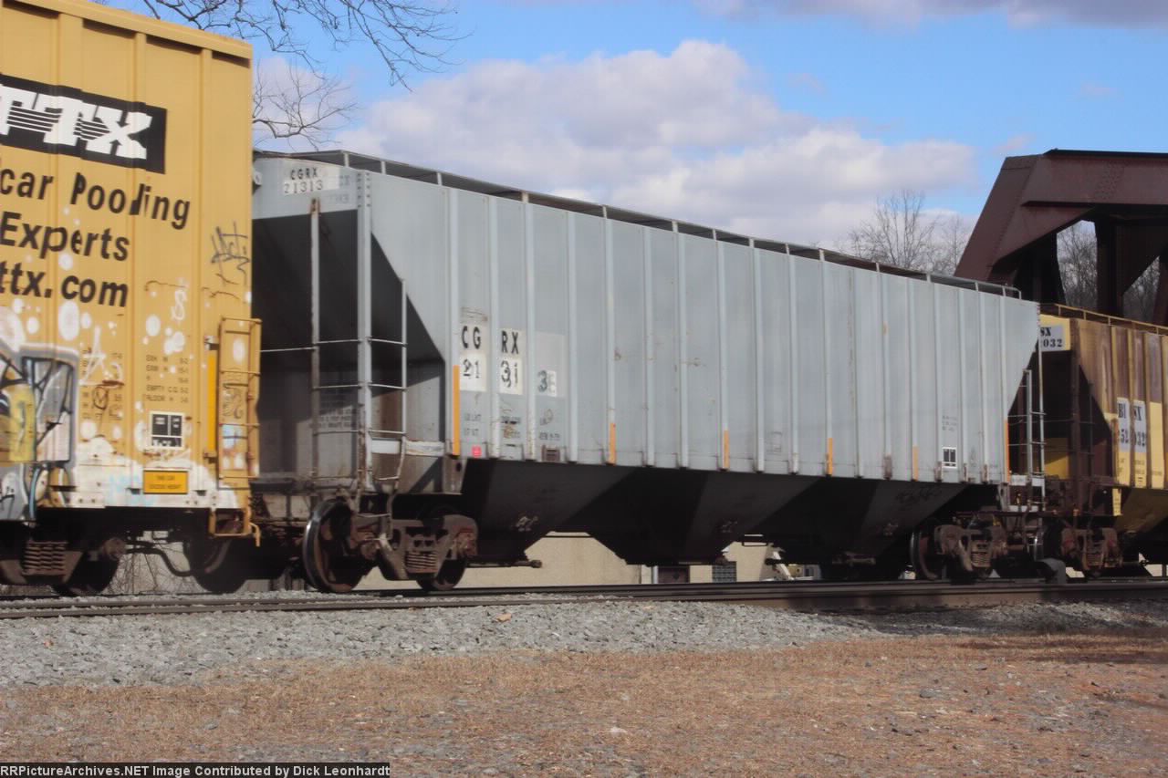 CGRX 21313