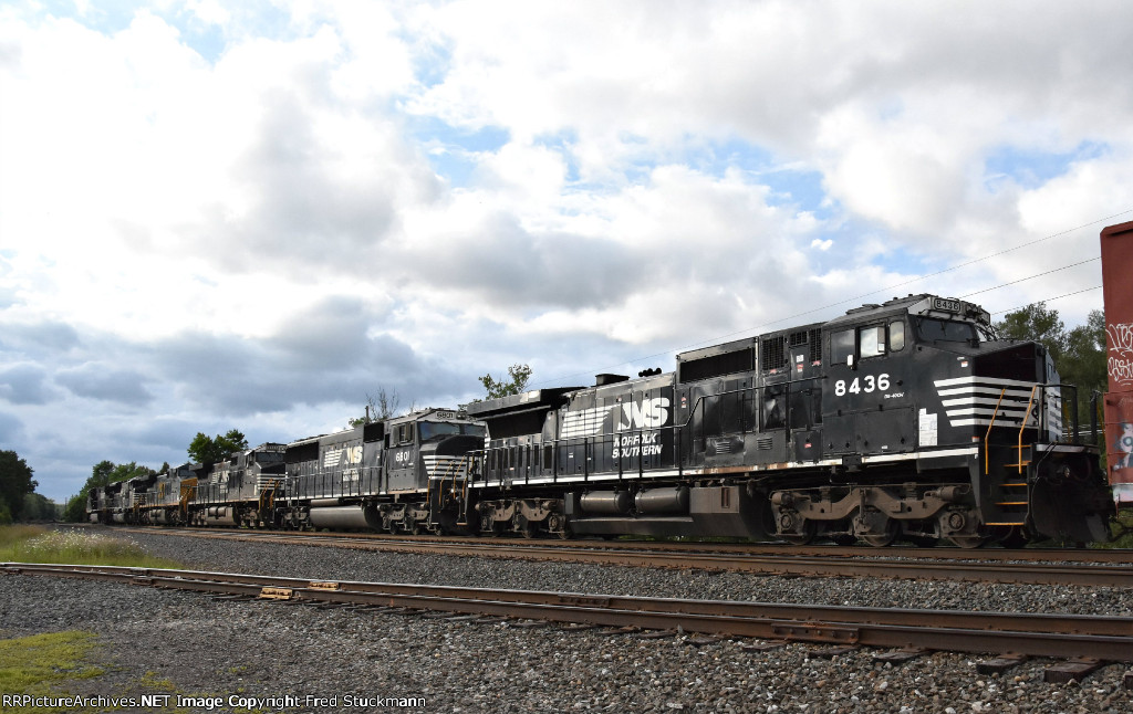 NS 8436 NS 8436