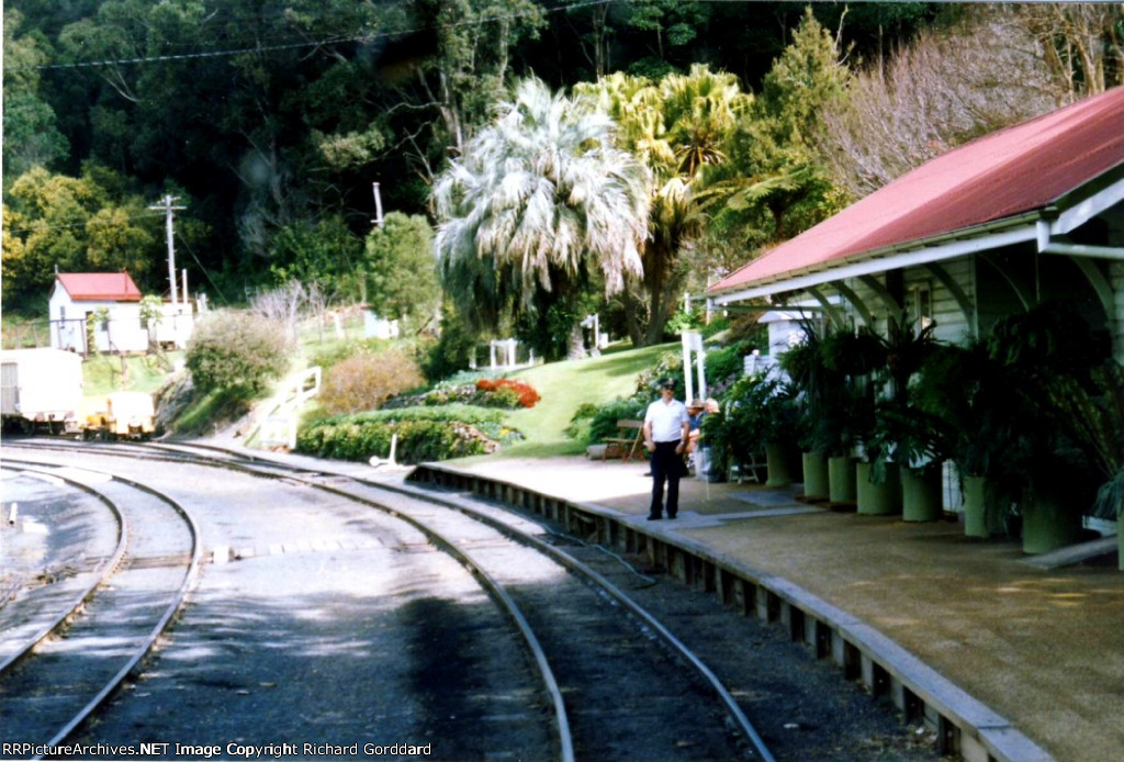 A lot of tropical landscaping 