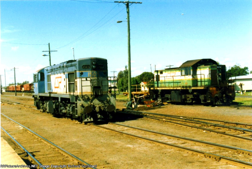 Moving thru the yard