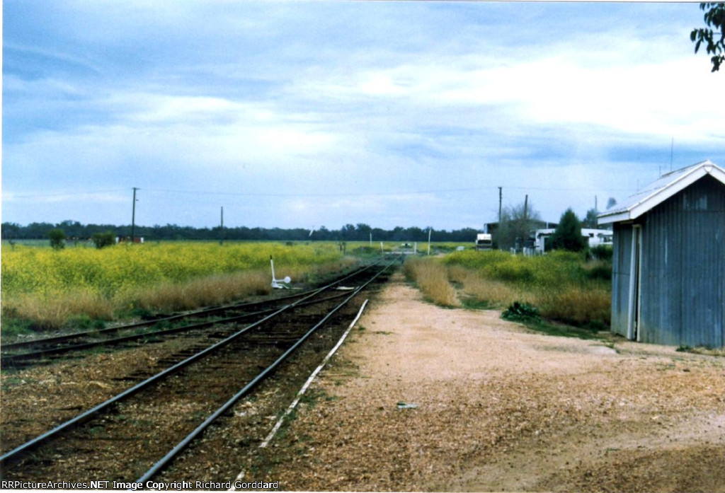 Track into the yard