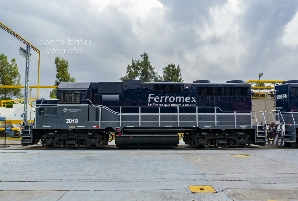 Tequila Express Scheme