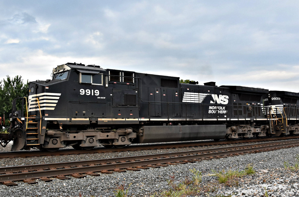 NS 9919