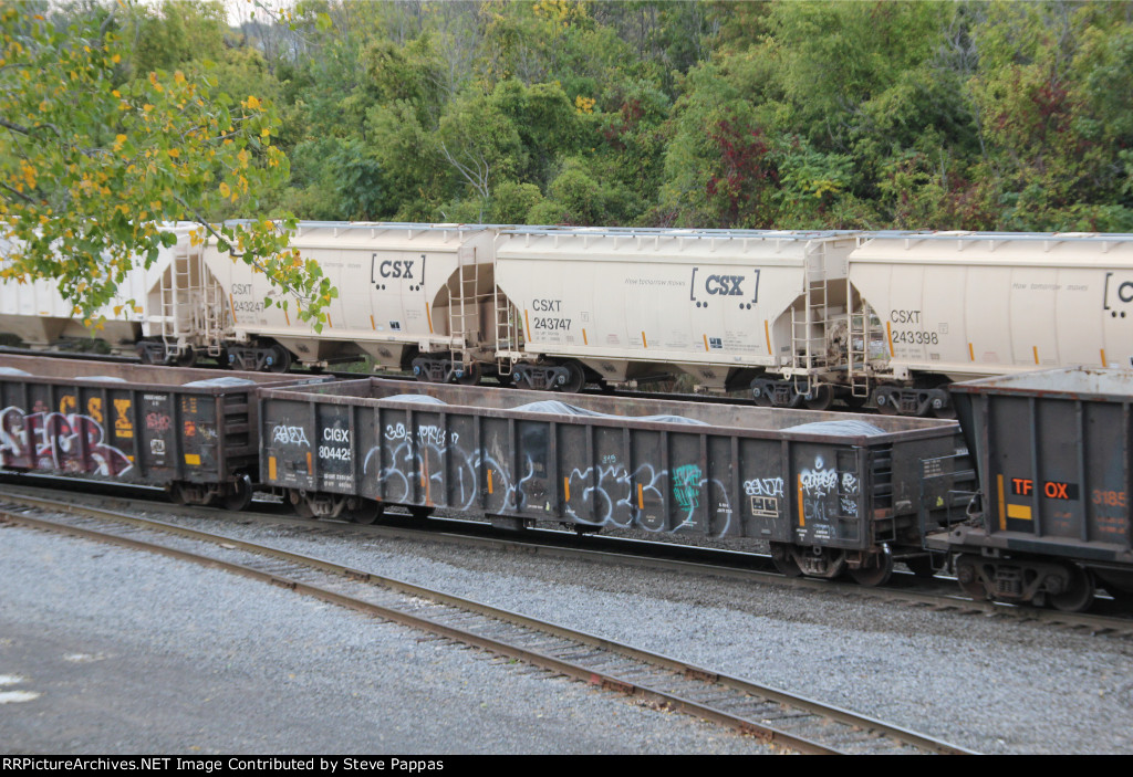 CIGX 804425