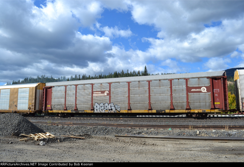 TTGX 961819