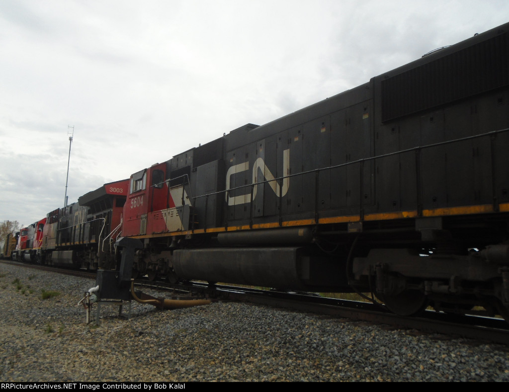  7 Engine Hook-up pulling out of Siding South of Clifton after waiting for Amtrak to pass