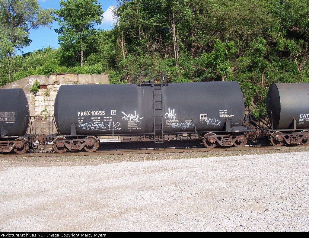 PRGX 10655