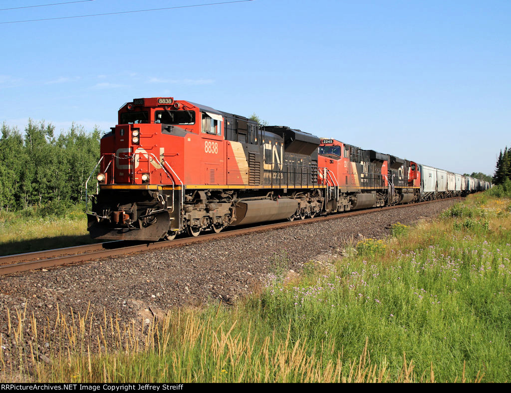 CN 8838