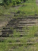Abandon Track
