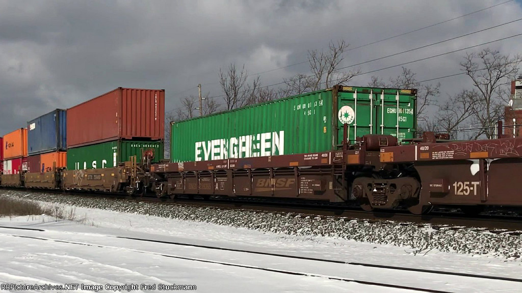 EGHU 801135 is new to rrpa.